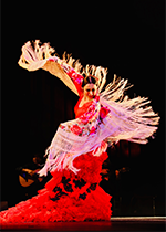 スペイン舞踊：平富恵 画像